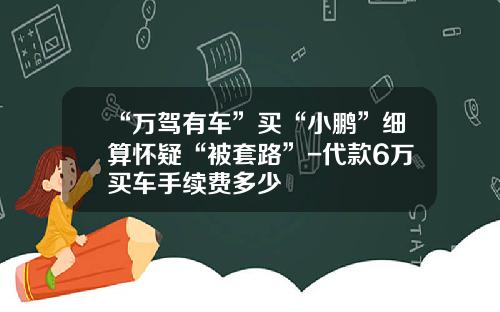 “万驾有车”买“小鹏”细算怀疑“被套路”-代款6万买车手续费多少
