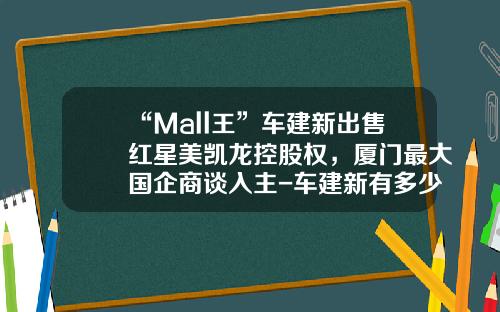 “Mall王”车建新出售红星美凯龙控股权，厦门最大国企商谈入主-车建新有多少资产