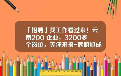「招聘」找工作看过来！云南200+企业，3200多个岗位，等你来报-昆明旭成股份有限公司