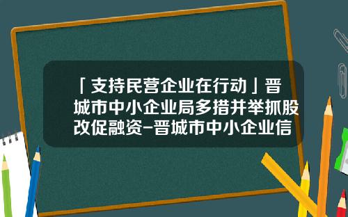 「支持民营企业在行动」晋城市中小企业局多措并举抓股改促融资-晋城市中小企业信用担保有限公司