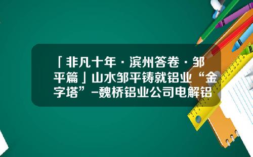 「非凡十年·滨州答卷·邹平篇」山水邹平铸就铝业“金字塔”-魏桥铝业公司电解铝厂