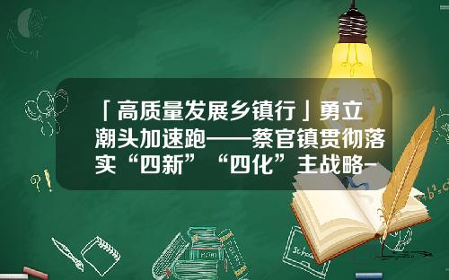 「高质量发展乡镇行」勇立潮头加速跑——蔡官镇贯彻落实“四新”“四化”主战略-江苏永高融资租赁有限公司