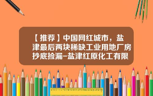 【推荐】中国网红城市，盐津最后两块稀缺工业用地厂房抄底捡漏-盐津红原化工有限责任公司