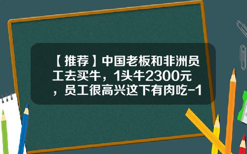 【推荐】中国老板和非洲员工去买牛，1头牛2300元，员工很高兴这下有肉吃-1000元非州币是多少钱