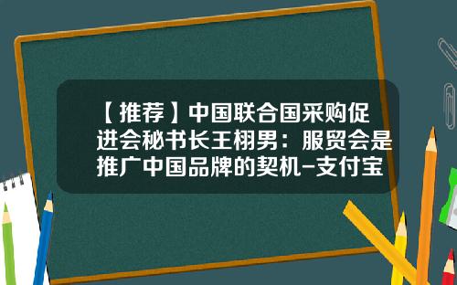 【推荐】中国联合国采购促进会秘书长王栩男：服贸会是推广中国品牌的契机-支付宝公司采购