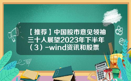 【推荐】中国股市意见领袖三十人展望2023年下半年（3）-wind资讯和股票专家