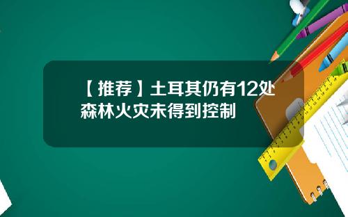 【推荐】土耳其仍有12处森林火灾未得到控制