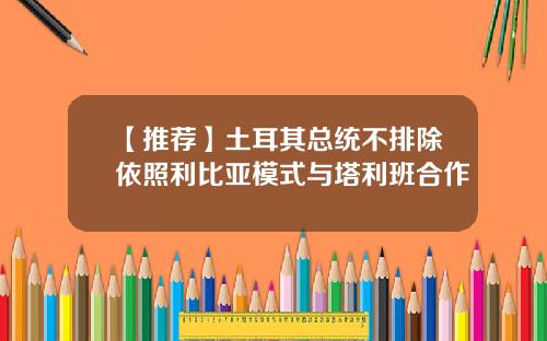 【推荐】土耳其总统不排除依照利比亚模式与塔利班合作