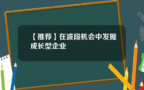 【推荐】在波段机会中发掘成长型企业