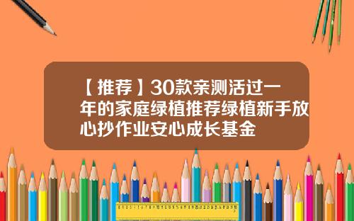【推荐】30款亲测活过一年的家庭绿植推荐绿植新手放心抄作业安心成长基金