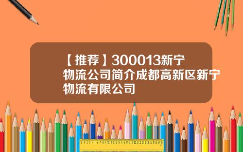 【推荐】300013新宁物流公司简介成都高新区新宁物流有限公司