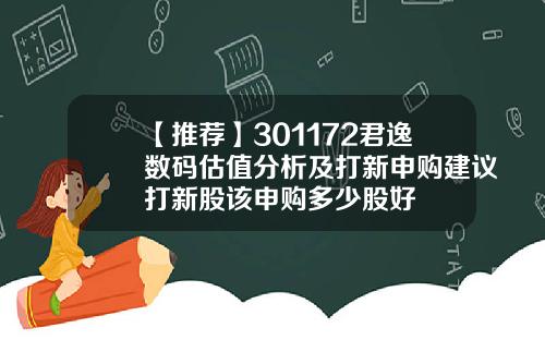 【推荐】301172君逸数码估值分析及打新申购建议打新股该申购多少股好