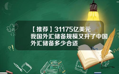 【推荐】31175亿美元我国外汇储备规模又升了中国外汇储备多少合适