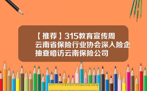 【推荐】315教育宣传周云南省保险行业协会深入险企抽查暗访云南保险公司