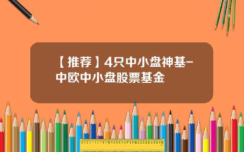 【推荐】4只中小盘神基-中欧中小盘股票基金