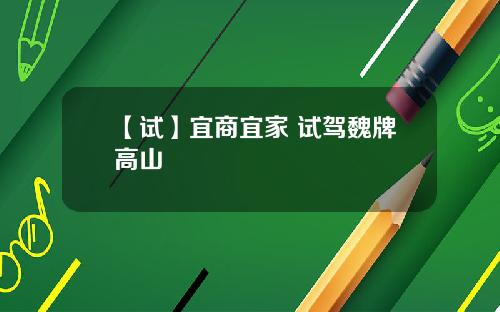 【试】宜商宜家 试驾魏牌高山