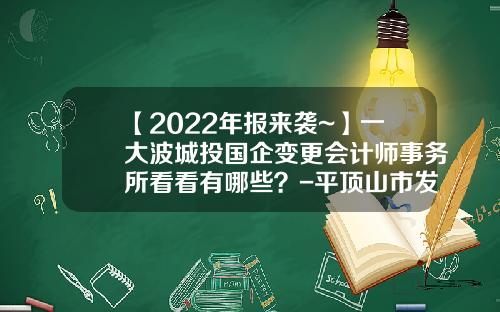 【2022年报来袭~】一大波城投国企变更会计师事务所看看有哪些？-平顶山市发展投资公司