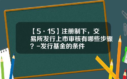 【5·15】注册制下，交易所发行上市审核有哪些步骤？-发行基金的条件