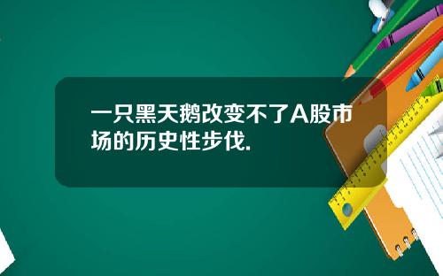 一只黑天鹅改变不了A股市场的历史性步伐.