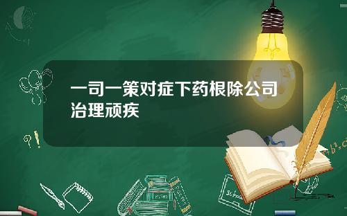 一司一策对症下药根除公司治理顽疾