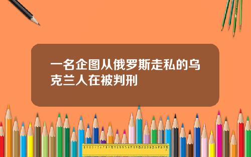 一名企图从俄罗斯走私的乌克兰人在被判刑