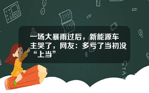 一场大暴雨过后，新能源车主哭了，网友：多亏了当初没“上当”