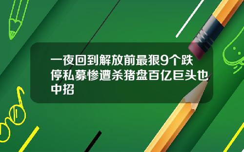 一夜回到解放前最狠9个跌停私募惨遭杀猪盘百亿巨头也中招