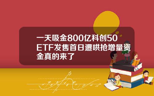 一天吸金800亿科创50ETF发售首日遭哄抢增量资金真的来了