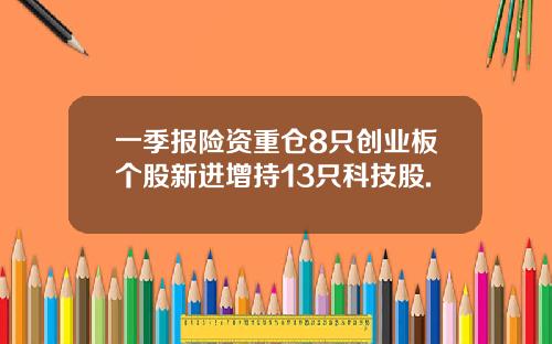一季报险资重仓8只创业板个股新进增持13只科技股.