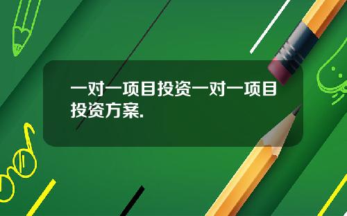 一对一项目投资一对一项目投资方案.