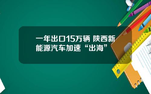 一年出口15万辆 陕西新能源汽车加速“出海”