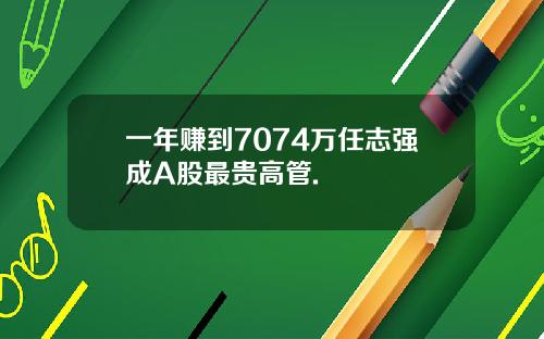 一年赚到7074万任志强成A股最贵高管.