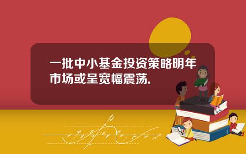 一批中小基金投资策略明年市场或呈宽幅震荡.