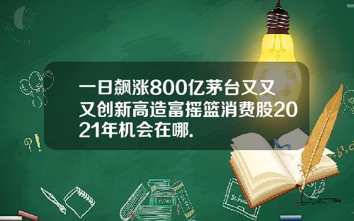 一日飙涨800亿茅台又又又创新高造富摇篮消费股2021年机会在哪.