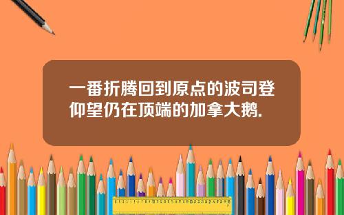一番折腾回到原点的波司登仰望仍在顶端的加拿大鹅.