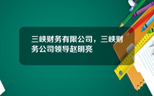 三峡财务有限公司，三峡财务公司领导赵明亮