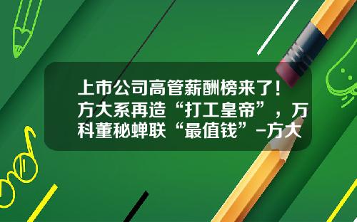 上市公司高管薪酬榜来了！方大系再造“打工皇帝”，万科董秘蝉联“最值钱”-方大碳素集团有限公司高层