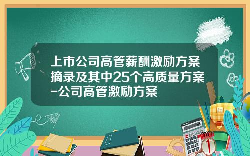 上市公司高管薪酬激励方案摘录及其中25个高质量方案-公司高管激励方案