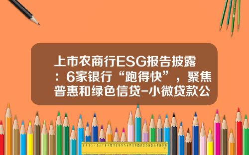 上市农商行ESG报告披露：6家银行“跑得快”，聚焦普惠和绿色信贷-小微贷款公司
