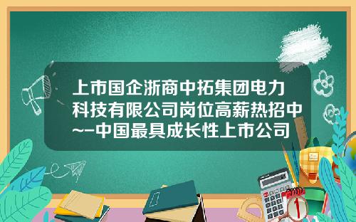 上市国企浙商中拓集团电力科技有限公司岗位高薪热招中~-中国最具成长性上市公司