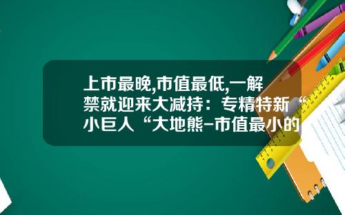 上市最晚,市值最低,一解禁就迎来大减持：专精特新“小巨人“大地熊-市值最小的上市公司