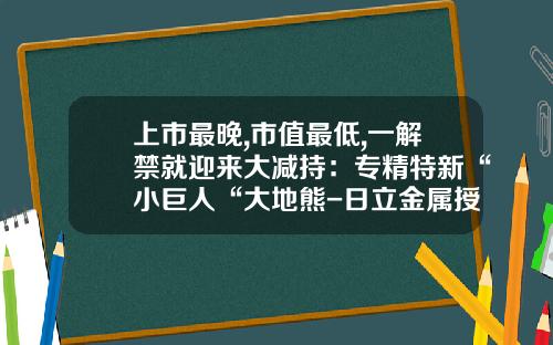 上市最晚,市值最低,一解禁就迎来大减持：专精特新“小巨人“大地熊-日立金属授权公司