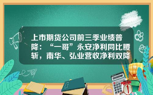 上市期货公司前三季业绩普降：“一哥”永安净利同比腰斩，南华、弘业营收净利双降-期货公司大全