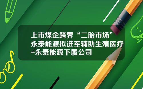 上市煤企跨界“二胎市场”永泰能源拟进军辅助生殖医疗-永泰能源下属公司