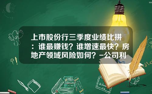 上市股份行三季度业绩比拼：谁最赚钱？谁增速最快？房地产领域风险如何？-公司利润和业绩