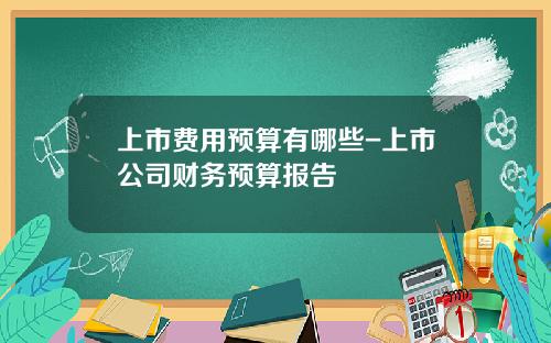 上市费用预算有哪些-上市公司财务预算报告