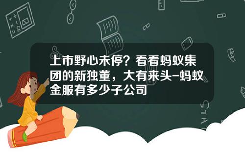 上市野心未停？看看蚂蚁集团的新独董，大有来头-蚂蚁金服有多少子公司