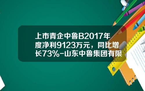 上市青企中鲁B2017年度净利9123万元，同比增长73%-山东中鲁集团有限公司