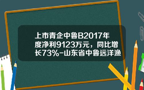 上市青企中鲁B2017年度净利9123万元，同比增长73%-山东省中鲁远洋渔业股份有限公司