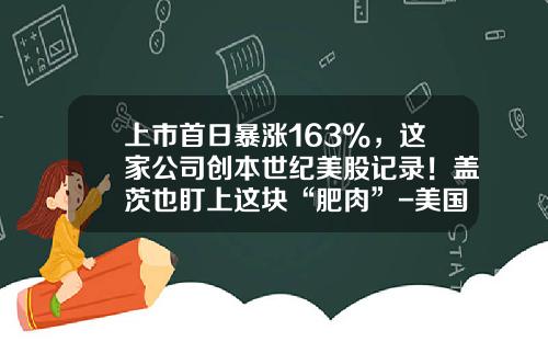 上市首日暴涨163%，这家公司创本世纪美股记录！盖茨也盯上这块“肥肉”-美国汤姆森股票资讯